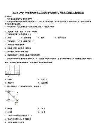 2023-2024学年湖南常德芷兰实验学校物理八下期末质量跟踪监视试题含解析.doc