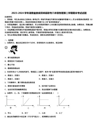 2023-2024学年湖南省娄底双峰县联考八年级物理第二学期期末考试试题含解析.doc