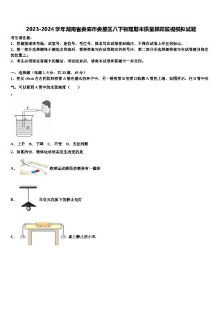 2023-2024学年湖南省娄底市娄星区八下物理期末质量跟踪监视模拟试题含解析.doc