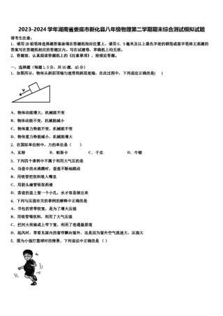 2023-2024学年湖南省娄底市新化县八年级物理第二学期期末综合测试模拟试题含解析.doc