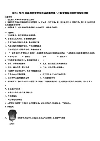2023-2024学年湖南省娄底市涟源市物理八下期末教学质量检测模拟试题含解析.doc