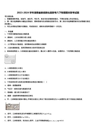 2023-2024学年湖南省娄底新化县联考八下物理期末联考试题含解析.doc