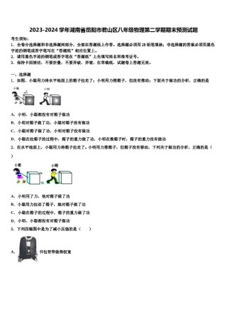 2023-2024学年湖南省岳阳市君山区八年级物理第二学期期末预测试题含解析.doc