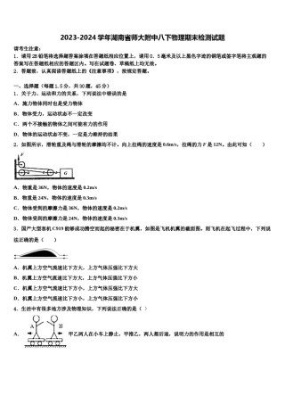 2023-2024学年湖南省师大附中八下物理期末检测试题含解析.doc