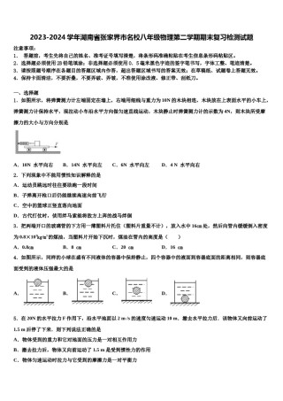 2023-2024学年湖南省张家界市名校八年级物理第二学期期末复习检测试题含解析.doc