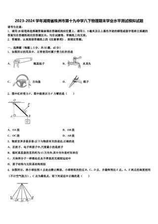 2023-2024学年湖南省株洲市第十九中学八下物理期末学业水平测试模拟试题含解析.doc