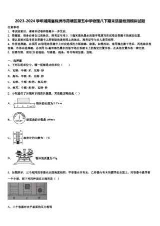 2023-2024学年湖南省株洲市荷塘区第五中学物理八下期末质量检测模拟试题含解析.doc