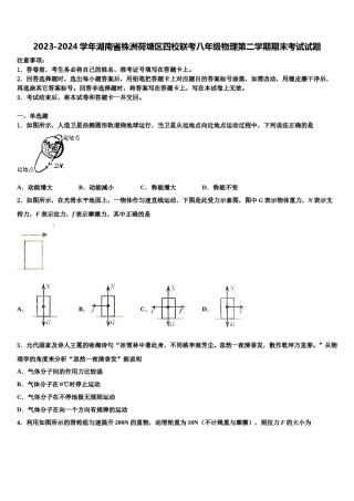 2023-2024学年湖南省株洲荷塘区四校联考八年级物理第二学期期末考试试题含解析.doc