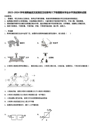 2023-2024学年湖南省武汉武昌区五校联考八下物理期末学业水平测试模拟试题含解析.doc