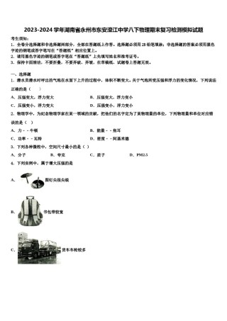 2023-2024学年湖南省永州市东安澄江中学八下物理期末复习检测模拟试题含解析.doc