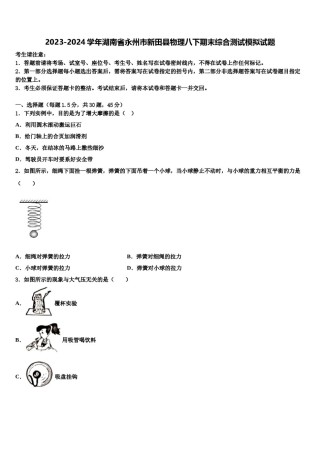 2023-2024学年湖南省永州市新田县物理八下期末综合测试模拟试题含解析.doc