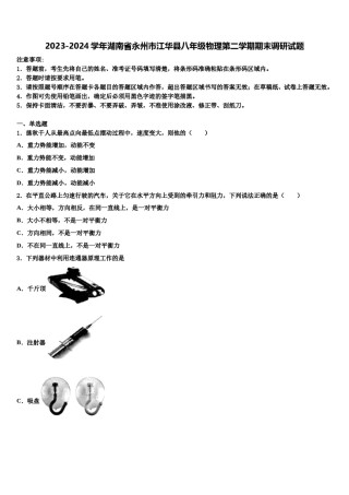 2023-2024学年湖南省永州市江华县八年级物理第二学期期末调研试题含解析.doc