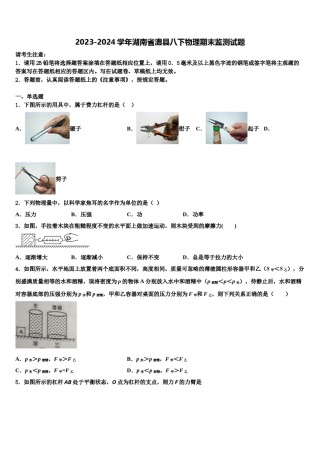 2023-2024学年湖南省澧县八下物理期末监测试题含解析.doc