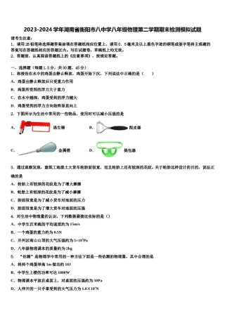 2023-2024学年湖南省衡阳市八中学八年级物理第二学期期末检测模拟试题含解析.doc