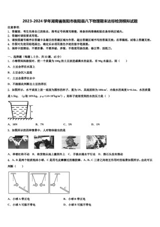 2023-2024学年湖南省衡阳市衡阳县八下物理期末达标检测模拟试题含解析.doc
