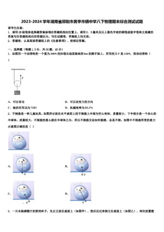 2023-2024学年湖南省邵阳市黄亭市镇中学八下物理期末综合测试试题含解析.doc