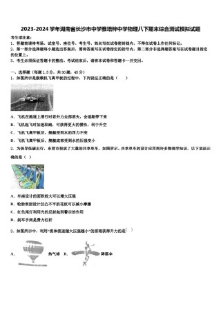 2023-2024学年湖南省长沙市中学雅培粹中学物理八下期末综合测试模拟试题含解析.doc