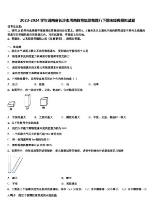2023-2024学年湖南省长沙市周南教育集团物理八下期末经典模拟试题含解析.doc