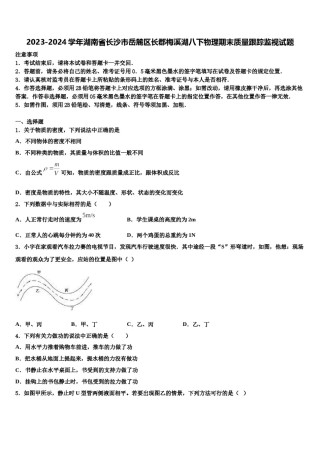 2023-2024学年湖南省长沙市岳麓区长郡梅溪湖八下物理期末质量跟踪监视试题含解析.doc