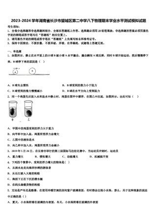 2023-2024学年湖南省长沙市望城区第二中学八下物理期末学业水平测试模拟试题含解析.doc