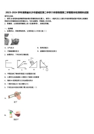 2023-2024学年湖南省长沙市望城区第二中学八年级物理第二学期期末检测模拟试题含解析.doc