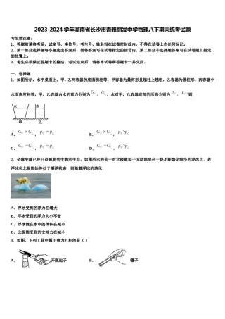 2023-2024学年湖南省长沙市青雅丽发中学物理八下期末统考试题含解析.doc