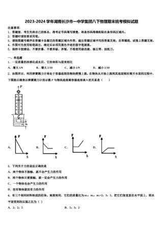 2023-2024学年湖南长沙市一中学集团八下物理期末统考模拟试题含解析.doc