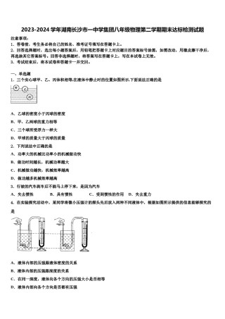 2023-2024学年湖南长沙市一中学集团八年级物理第二学期期末达标检测试题含解析.doc