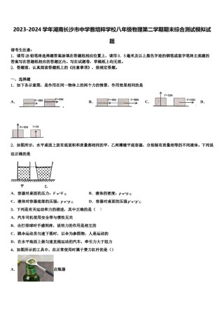 2023-2024学年湖南长沙市中学雅培粹学校八年级物理第二学期期末综合测试模拟试题含解析.doc