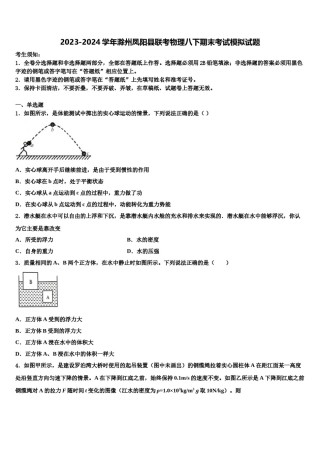 2023-2024学年滁州凤阳县联考物理八下期末考试模拟试题含解析.doc