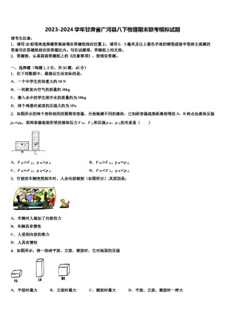 2023-2024学年甘肃省广河县八下物理期末联考模拟试题含解析.doc