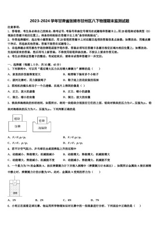 2023-2024学年甘肃省张掖市甘州区八下物理期末监测试题含解析.doc
