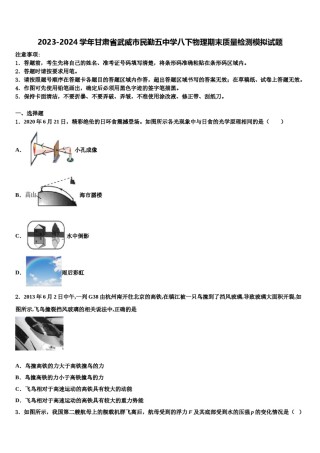 2023-2024学年甘肃省武威市民勤五中学八下物理期末质量检测模拟试题含解析.doc