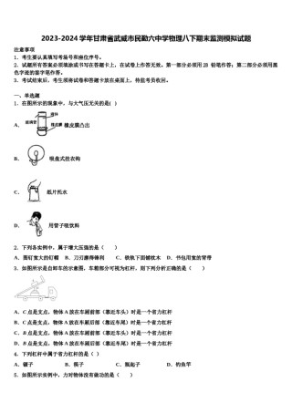 2023-2024学年甘肃省武威市民勤六中学物理八下期末监测模拟试题含解析.doc