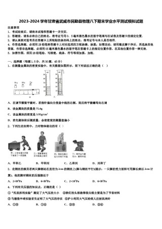2023-2024学年甘肃省武威市民勤县物理八下期末学业水平测试模拟试题含解析.doc