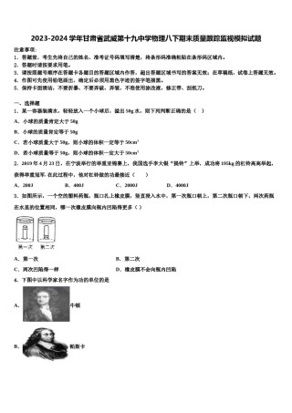 2023-2024学年甘肃省武威第十九中学物理八下期末质量跟踪监视模拟试题含解析.doc
