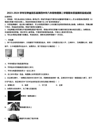 2023-2024学年甘肃省民乐县第四中学八年级物理第二学期期末质量跟踪监视试题含解析.doc