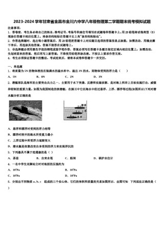 2023-2024学年甘肃省金昌市金川六中学八年级物理第二学期期末统考模拟试题含解析.doc