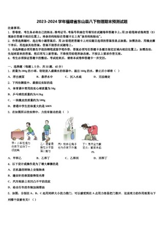 2023-2024学年福建省东山县八下物理期末预测试题含解析.doc