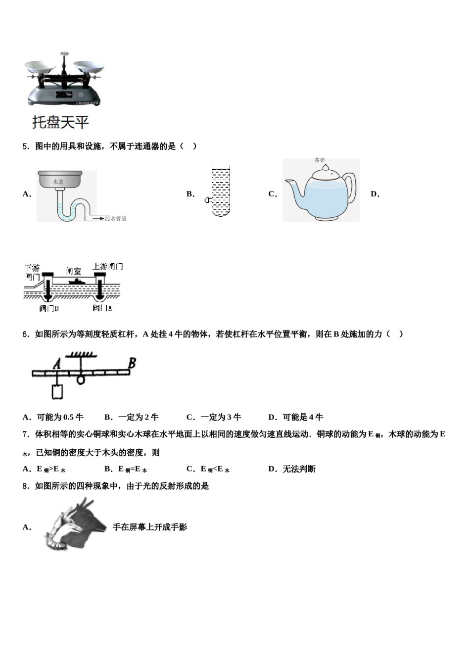 2023-2024学年福建省厦门市湖滨中学物理八下期末达标检测模拟试题含解析.doc_第2页