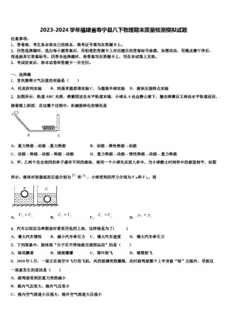 2023-2024学年福建省寿宁县八下物理期末质量检测模拟试题含解析.doc