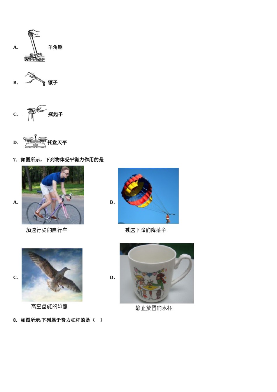 2023-2024学年福建省漳州市平和第一中学八年级物理第二学期期末达标检测试题含解析.doc_第2页