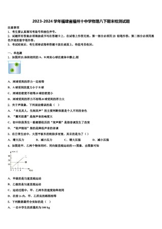 2023-2024学年福建省福州十中学物理八下期末检测试题含解析.doc