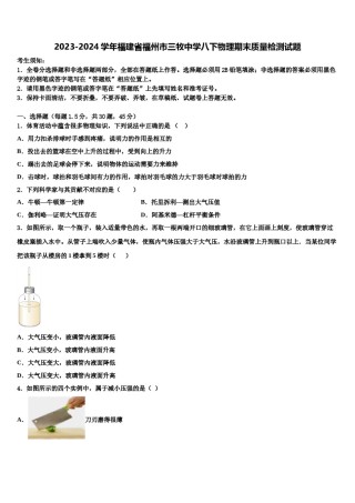 2023-2024学年福建省福州市三牧中学八下物理期末质量检测试题含解析.doc
