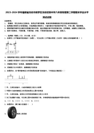 2023-2024学年福建省龙岩市新罗区龙岩初级中学八年级物理第二学期期末学业水平测试试题含解析.doc