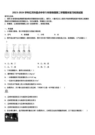 2023-2024学年红河市重点中学八年级物理第二学期期末复习检测试题含解析.doc