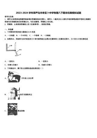 2023-2024学年葫芦岛市老官卜中学物理八下期末经典模拟试题含解析.doc