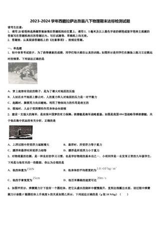 2023-2024学年西藏拉萨达孜县八下物理期末达标检测试题含解析.doc