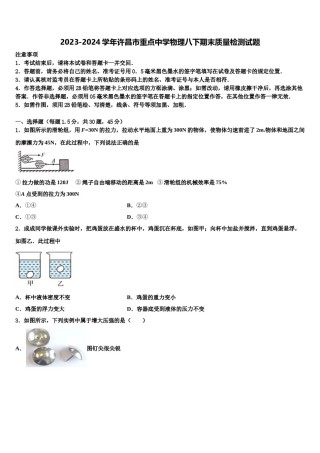 2023-2024学年许昌市重点中学物理八下期末质量检测试题含解析.doc