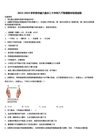 2023-2024学年贵州省六盘水二十中学八下物理期末检测试题含解析.doc